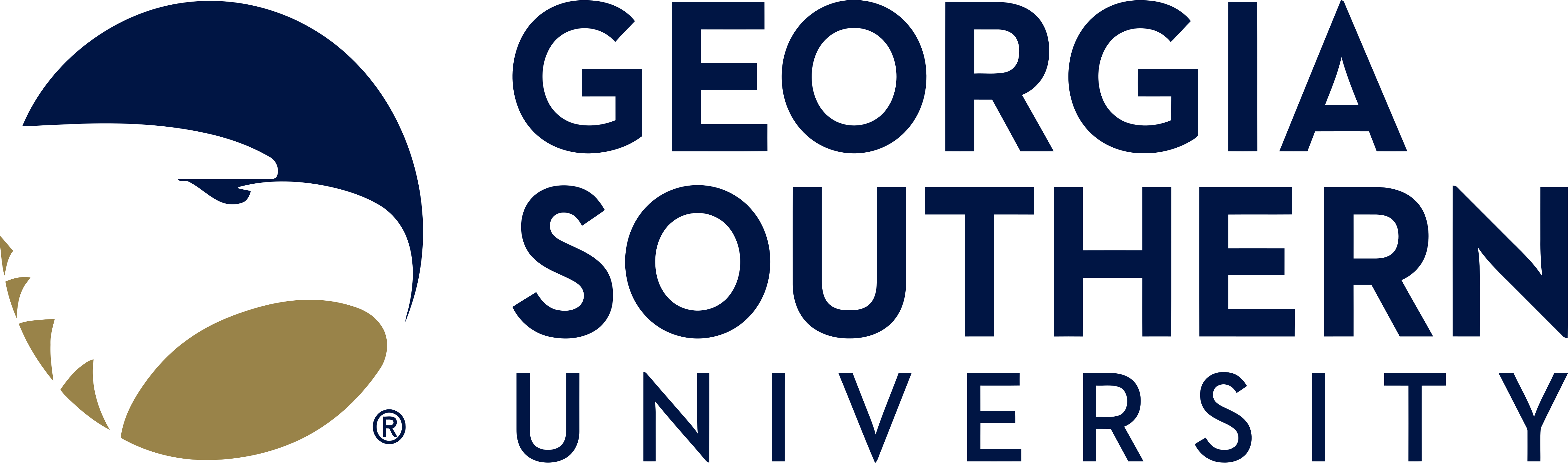 Georgia Southern University